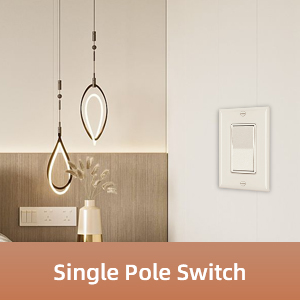 single pole switch