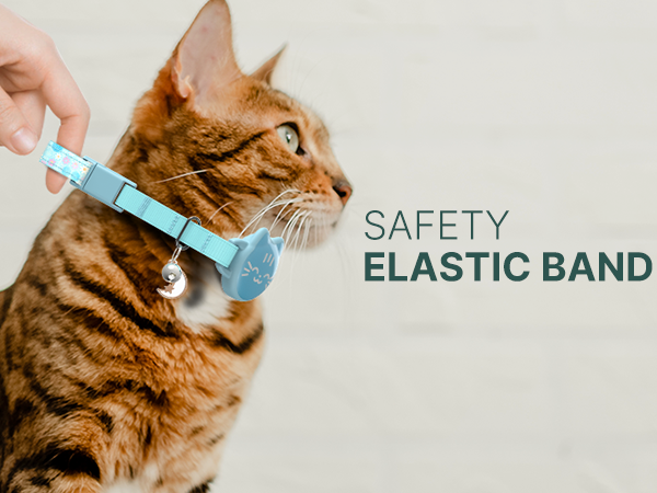 AIRTAG CAT COLLAR
