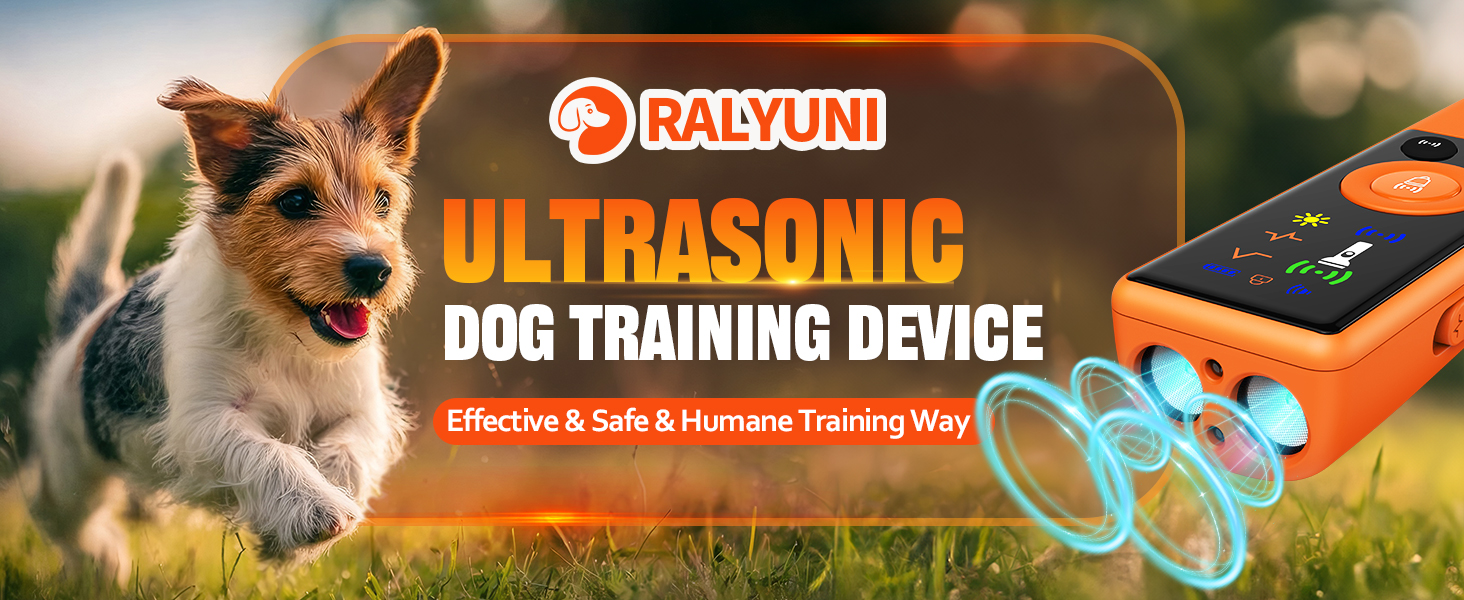 DOG TRAINING DECICE