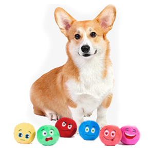 puppies