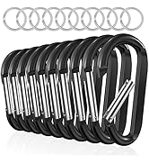 Carabiner Clip Keychain