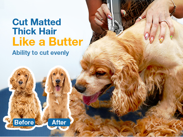 dog trimmer