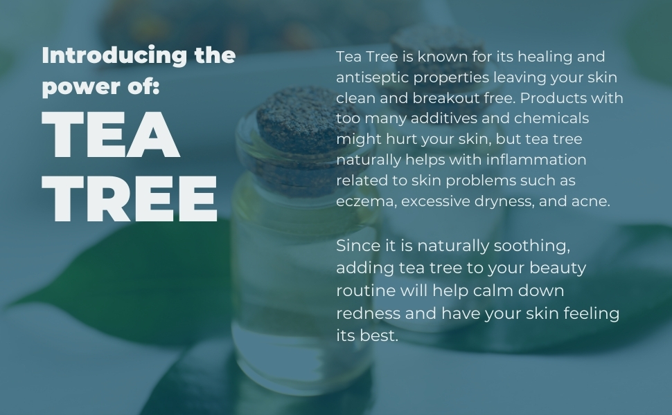Introducing the power of Tea Tree