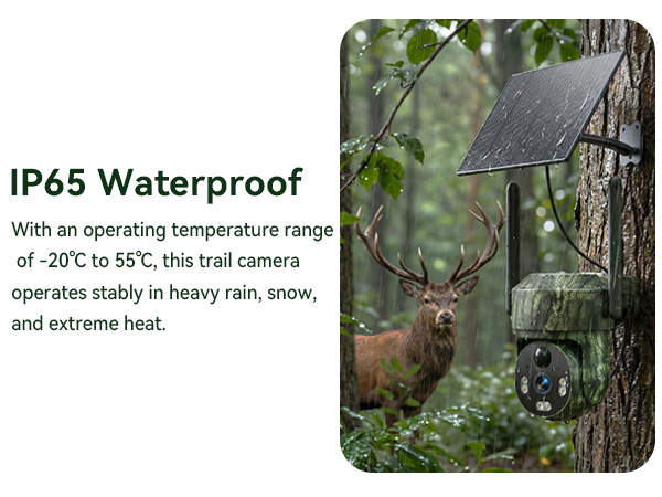cellular trail camera