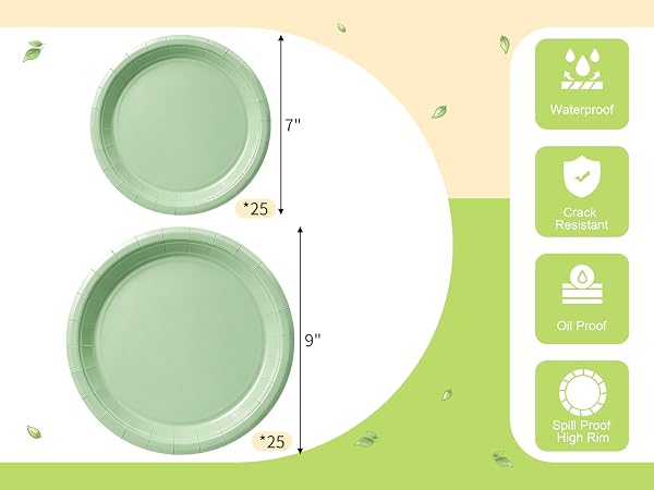 Paper Plate
