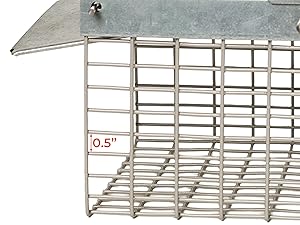 chipmonk traps