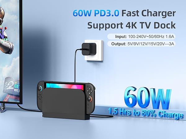 switch charger