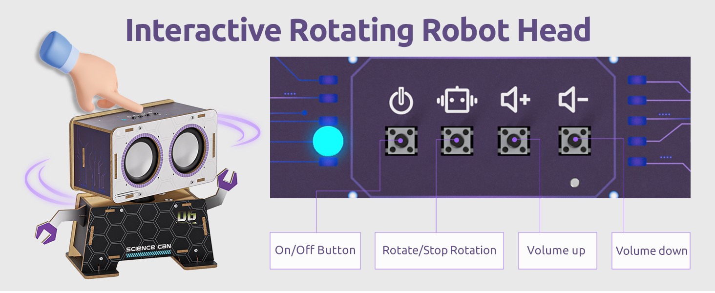 Interactive Rotating Robot Head