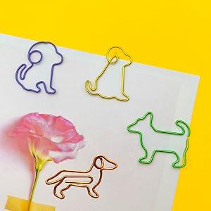 dog -1