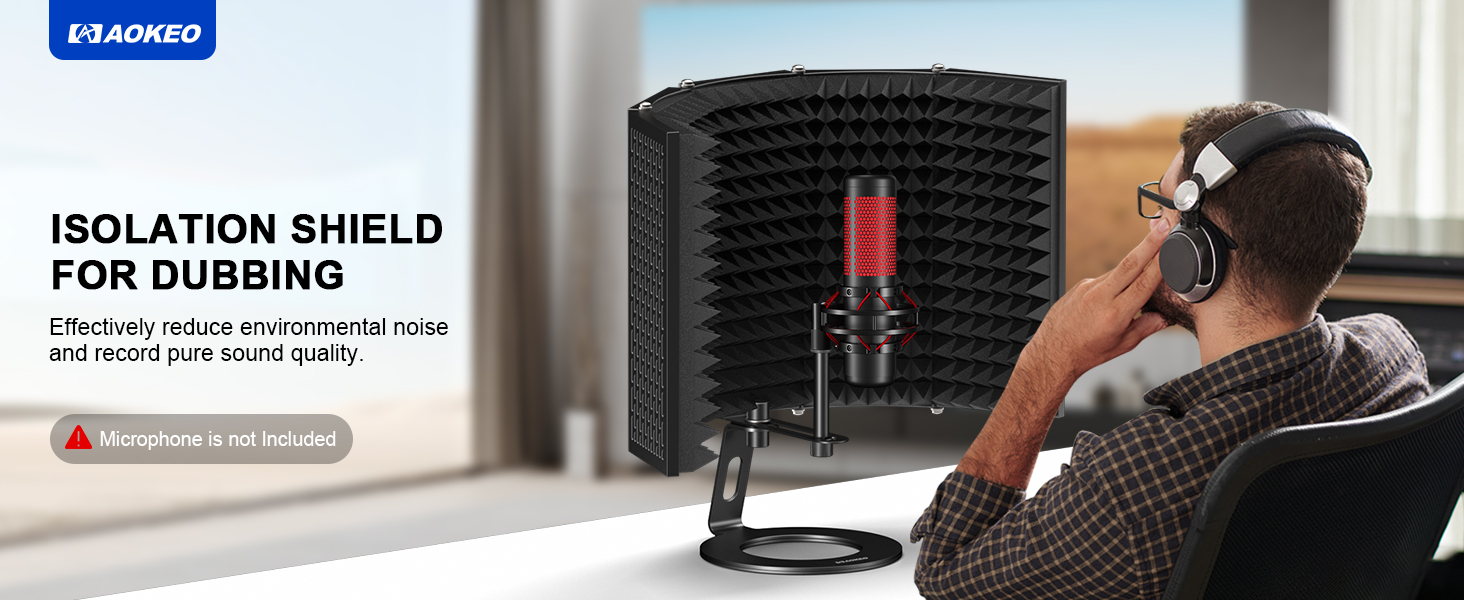 microphone filter