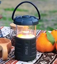 https://m.media-amazon.com/images/S/aplus-media-library-service-media/10fd820e-7957-4471-916f-b61aaf51e21f.__CR0,0,562,632_PT0_SX200_V1___.jpg