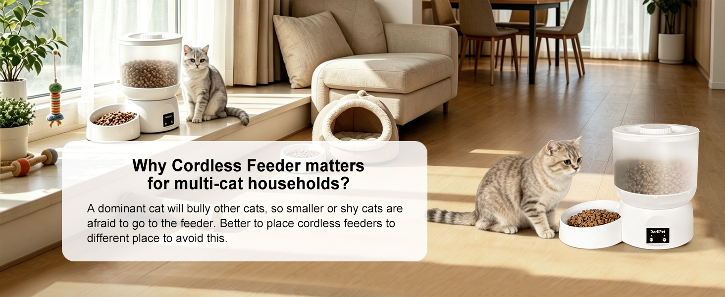 Darlipet Cordless automatic cat feeder matters for multi-cat households