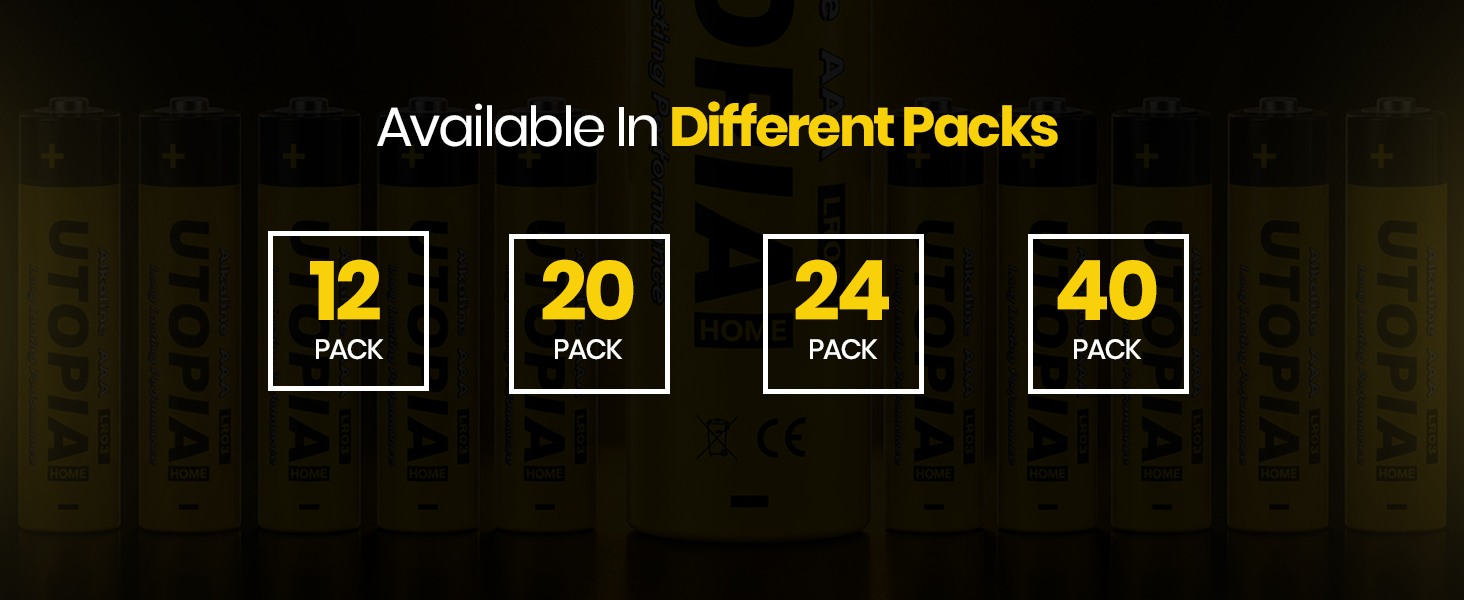 AA Batteries