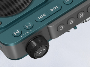 FM Bluetooth Speaker