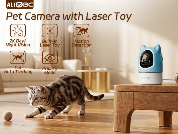 pet camera with laser toy
