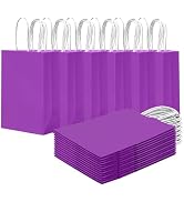 qiqee 24PCS Small Gift Bag with Handles Bulk 8.3