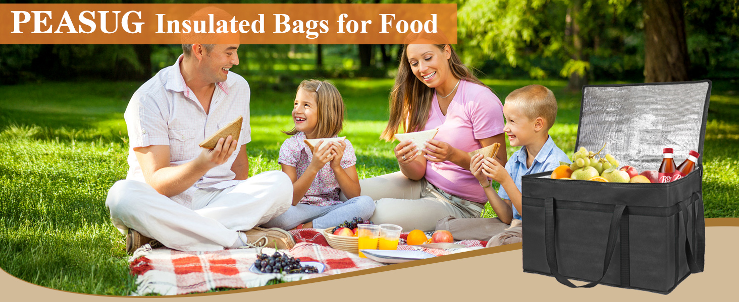 food delivery bag