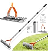 21-Tine Thatch Rake for Lawn,15" Heavy Duty Dethatcher Rake with 68" Handle | Dual-Sided Tines, C...
