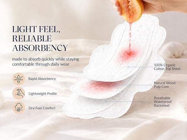 Organic cotton pads with wood pulp core and waterproof backsheet for daily protection.