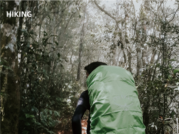 AOFAR AF-4074 Compass