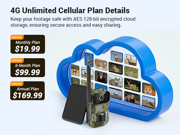 Cloud Storage