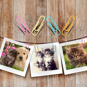 office paper clips small paper clip