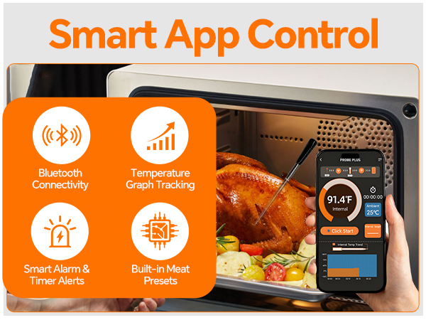 digital meat thermometer