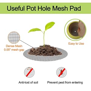 dense mesh