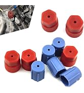 yorpyep 10 PCS Car Air Conditioning System Port Caps, 13 mm Low Side & 16 mm High Side Sealing Ca...