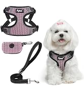 PUPTECK No Pull Dog Harness and Leash Set Reflective No Choke Step in Puppy Halter for XS Small a...