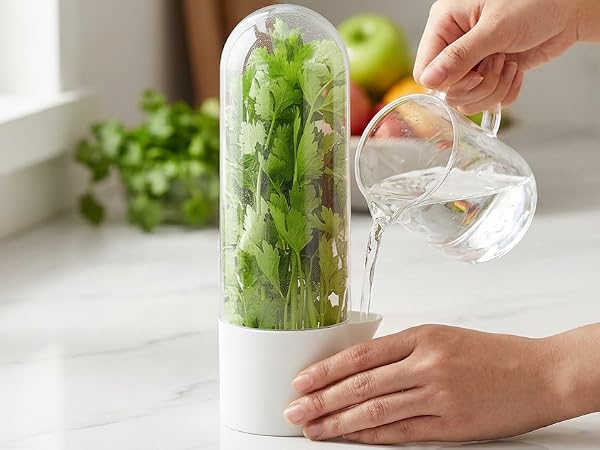 herb storage containers for refrigerator