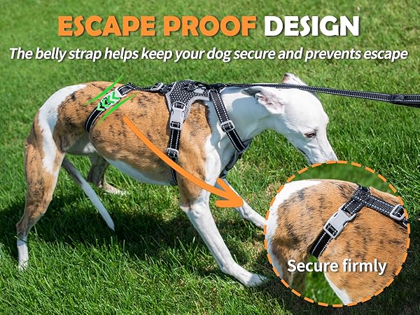 escape proof dog harness