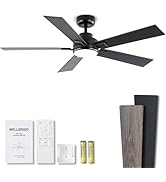 Modern Ceiling Fans with Lights - 52 inch Black Outdoor Ceiling Fan with Light and Remote, Revers...