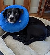 BENCMATE Protective Inflatable Collar for Dogs and Cats - Soft Pet Recovery Collar Does Not Block...
