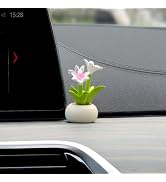 YGMONER Car Dashboard Plant Resin Flower Pot Knick Knacks Mini Plant Figurines Decorations Gifts