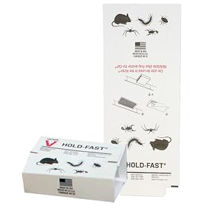 glue traps, mouse trap, insect trap, sticky trap, glue board, mouse glue board, mouse glue trap