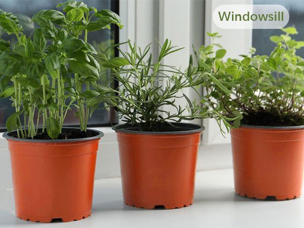 nursery pots