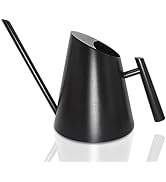 Cesun Watering Can Indoor Plants - Small Stainless Water Can with Long Straight Spout, Metal Wate...