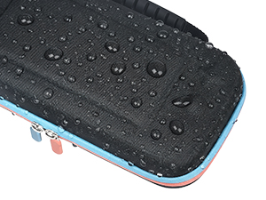 Switch 2 case