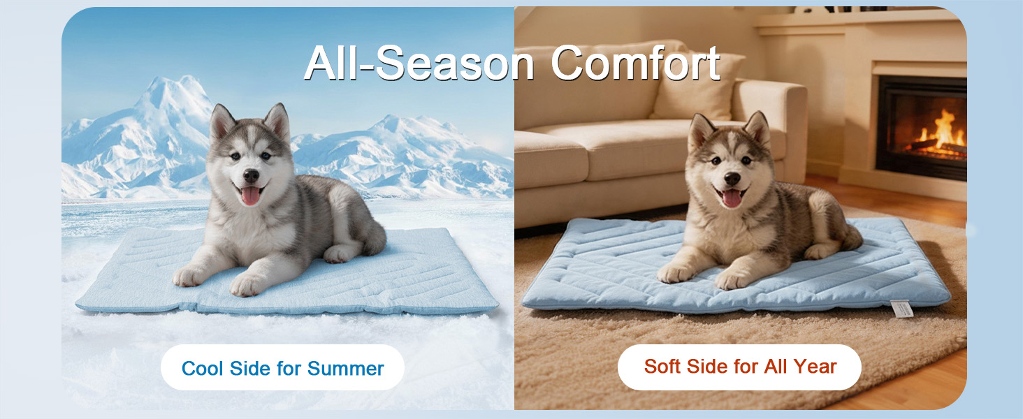 All-Season Comfort