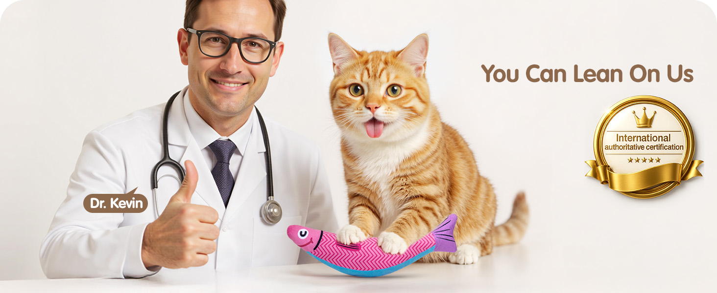 interactive cat toy