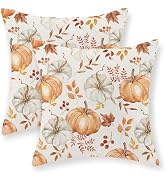 DAFENA Fall Pillow Covers 18x18 Inch 2 Pcs Burnt Orange Grey Pumpkin Maple Leaves Autumn Decor Th...