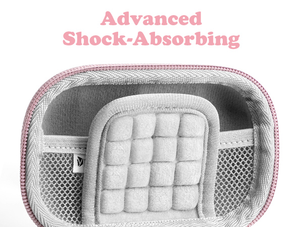 digital camera case