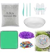 All-in-One 10in Stepping Stone Kit - Includes Cement Mix, Concrete & Letter Molds, Mosaics, Carvi...