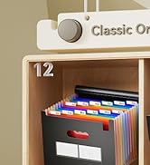 file folders 12 pockets