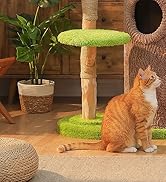 MUTTROS Wood Cat Tree with Flower Perch, 53.5" Modern Cat Tower w/Natural Solid Wood Scratching P...