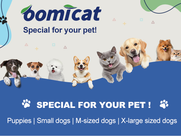 Pet Supplies