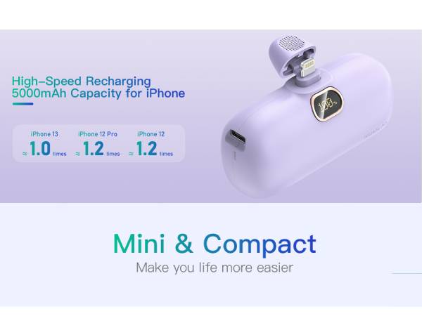 portable apple charger