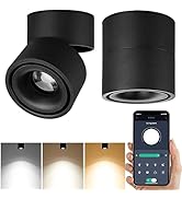 Yodaba LED Dimmable Ceiling Art Spotlight - 360°Adjustable Indoor Surface Mounted 10W COB Lightin...