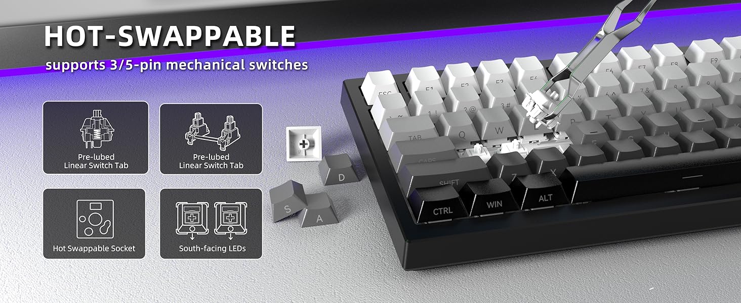 K81-???-4
